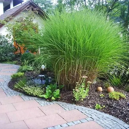 아파트 Himmelsbach